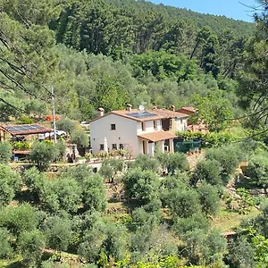 Appartamento Rivolta, Buti